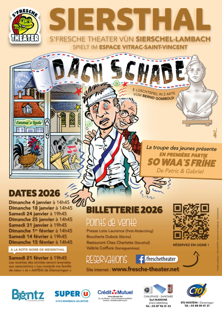 Affiche Dach Schade
